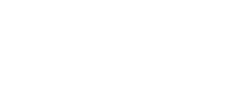 https://www.bulletvisa.com